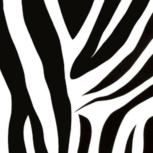 Plakfolie Zebra 6495 - 45cm x 15m