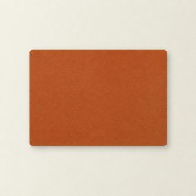 Placemat Kunstleer - Oranje/Pistache