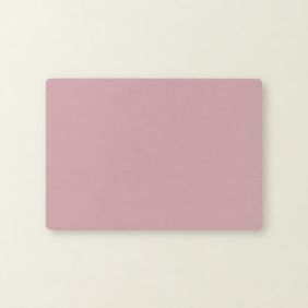 Placemat Kunstleer - Roze/Lichtblauw